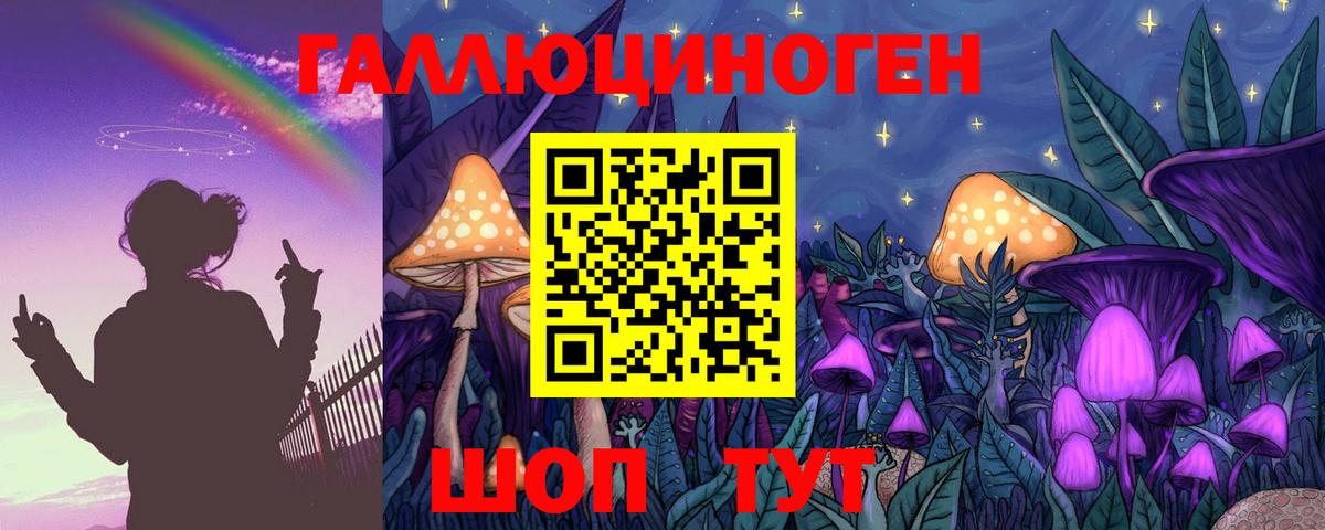 Псилоцибиновые грибы GOLDEN TEACHER  Галлюциногенные грибы Psilocybine cubensis  Вход с VPN  Муравленко 
