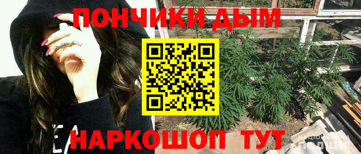 Бошки марихуана THC 21% Муравленко